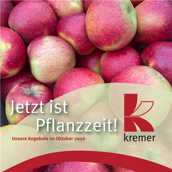 Unser aktueller Prospekt