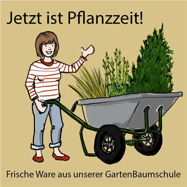 Herbstzeit ist Pflanzzeit