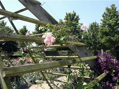 Gartengestaltung - Rosengarten